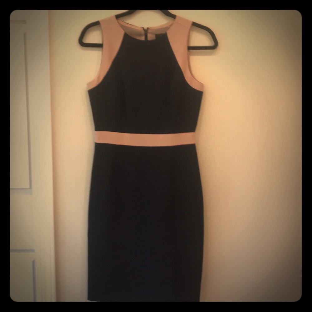 Fitted Sleeveless Dress-Navy &Pink